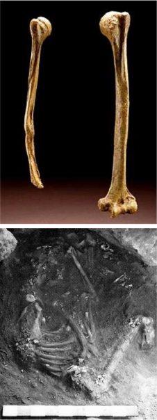 <ol><li><p>They buried their dead: Shanidar Cave, Iraq, 50-45 ka, 4 intentional burials</p></li><li><p>They took care of their injured: Shanidar 1 sustained significant injuries </p></li><li><p>They used “medicine”: pollen of plants with curative effects </p></li></ol><p></p>
