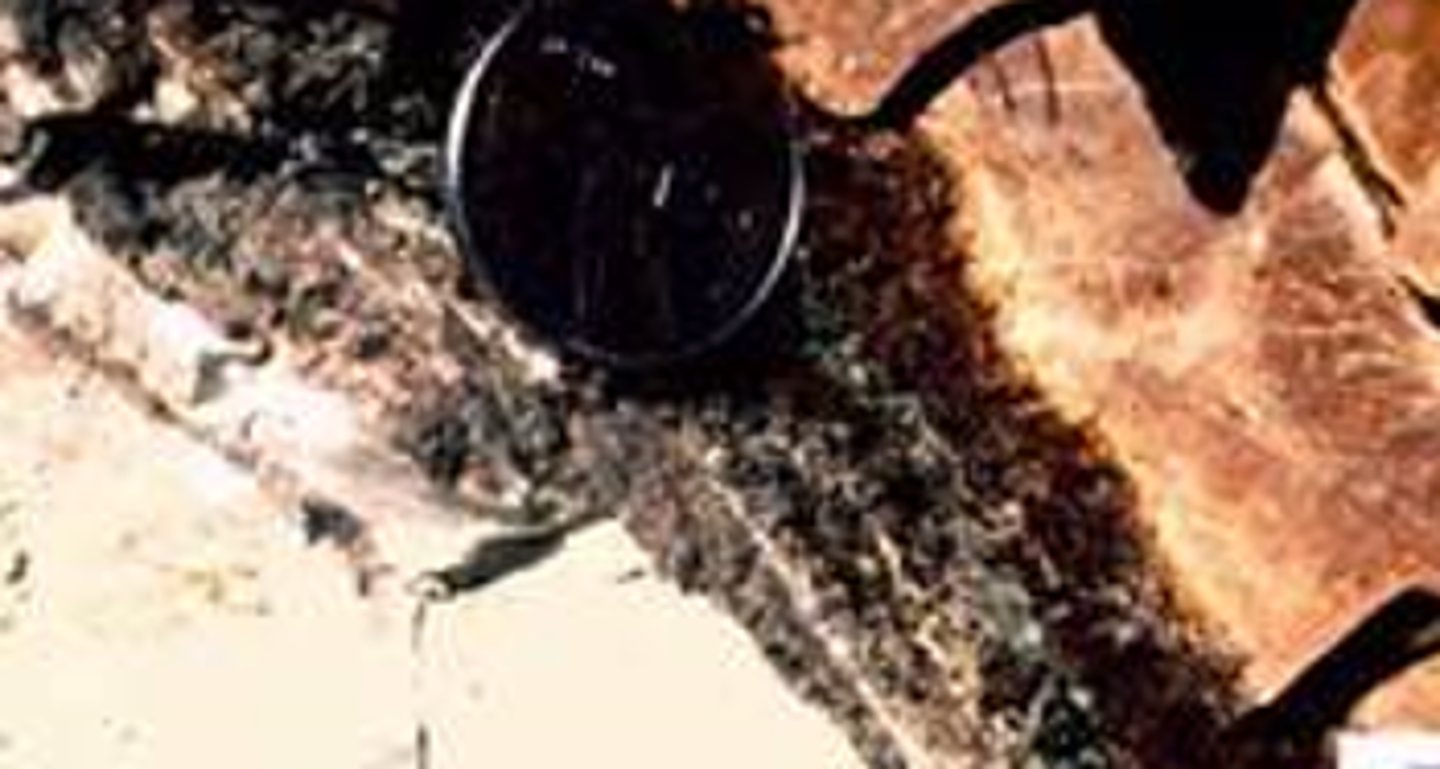 <p>The K-T boundary layer</p>