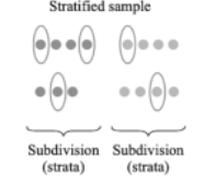 <ul><li><p>Definition: Population is sub-divided into sub-populations based on one or more classifications. Simple random samples are drawn from each sub-population, which is pooled to form main sample </p></li><li><p>Each sub-sample is proportionate to the size of it’s sub-population, guaranteeing representation &amp; more precision </p></li></ul>