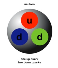 <ul><li><p>Composed of two &quot;down&quot; quarks, one &quot;up&quot; quark</p></li><li><p>Neutral ( 0 ) charge</p></li><li><p>Mass = 1.674 * 10^-27 kg</p></li></ul>