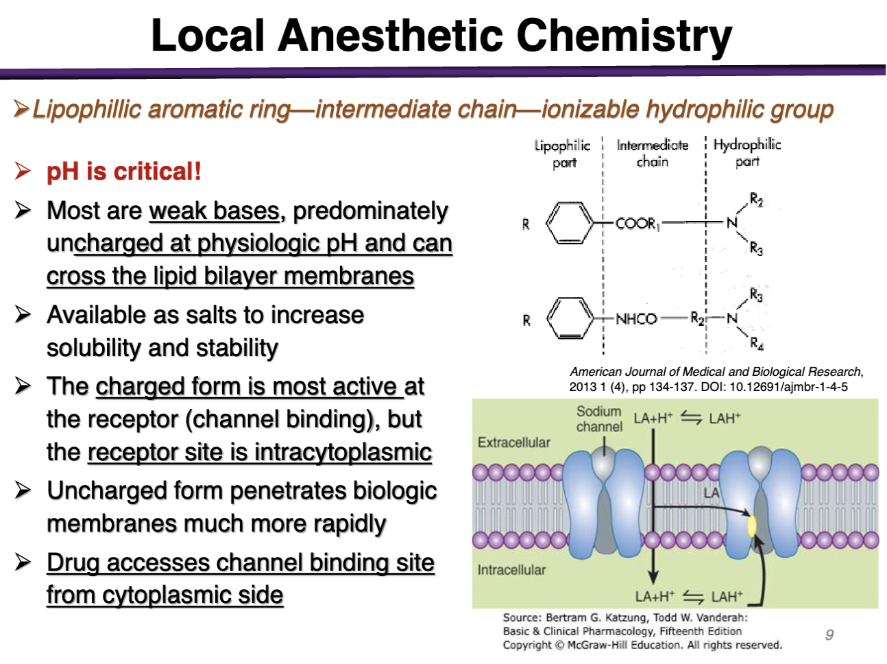 <p>Aromatic ring is lipophilic: required to cross the cell membrane </p><p></p><p>The charged form is most active at the receptor (channel binding) but the receptor site is intracytoplasmic </p>