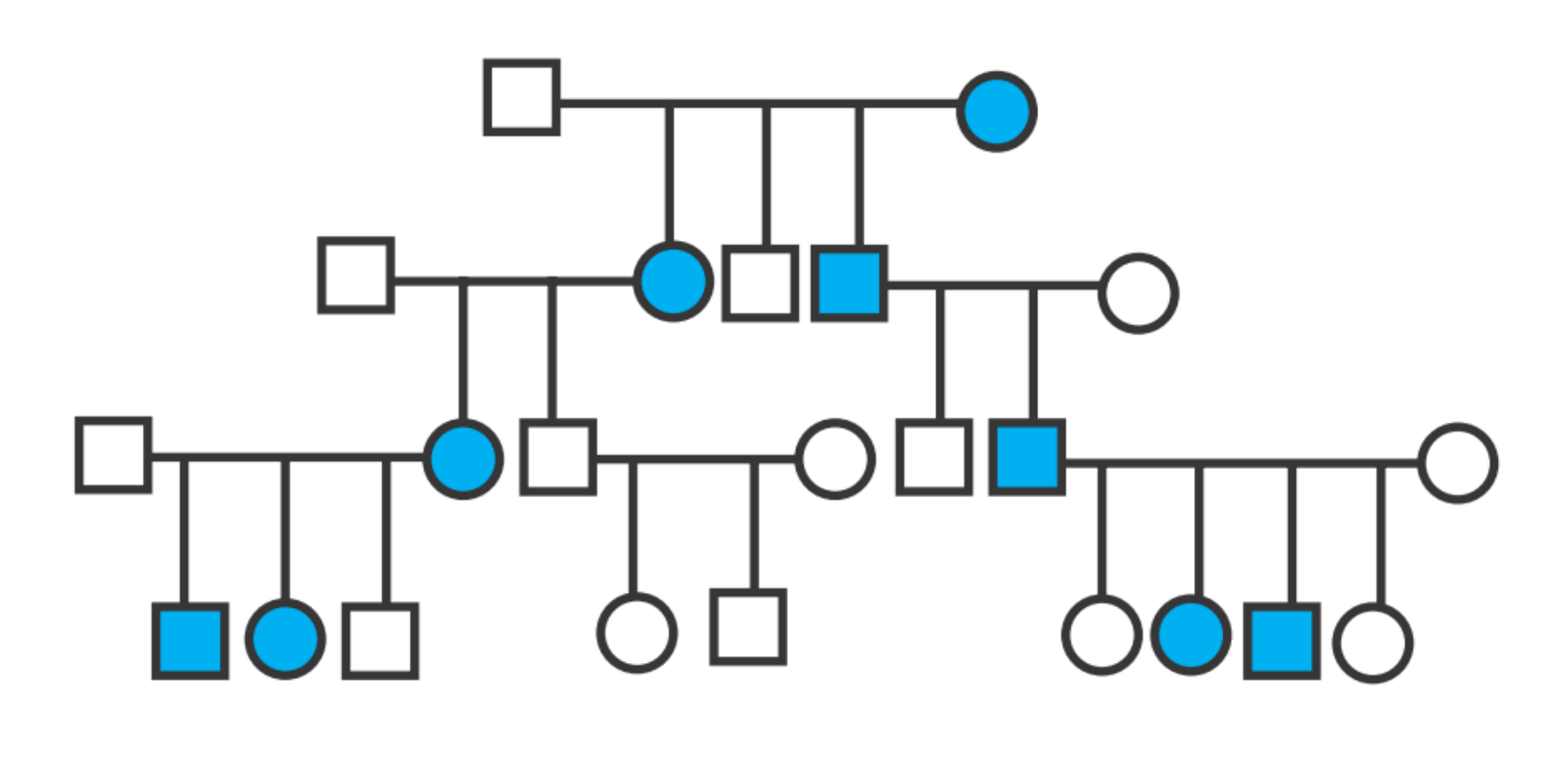 <p>Xác định kiểu di truyền trong cây phả hệ sau:</p>