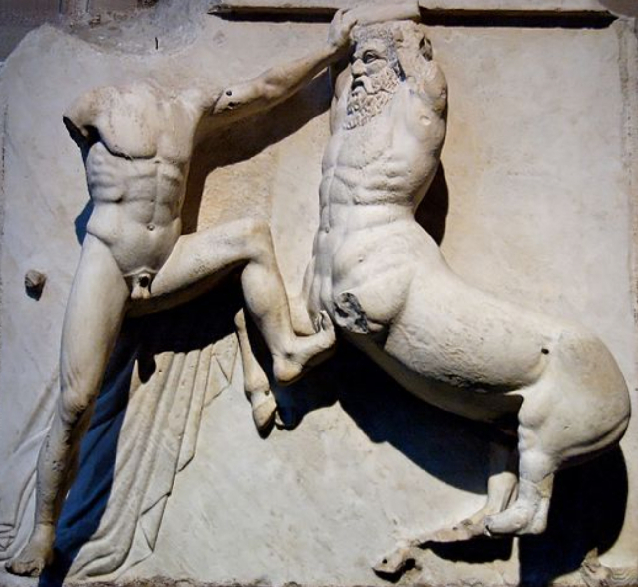 <p>How tall is this metope? And how wide? Give in metres</p>
