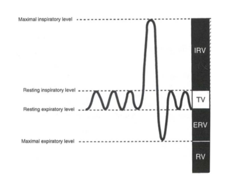 <p>max volume of air that can be exhaled from resting end-expiratory tidal position </p>