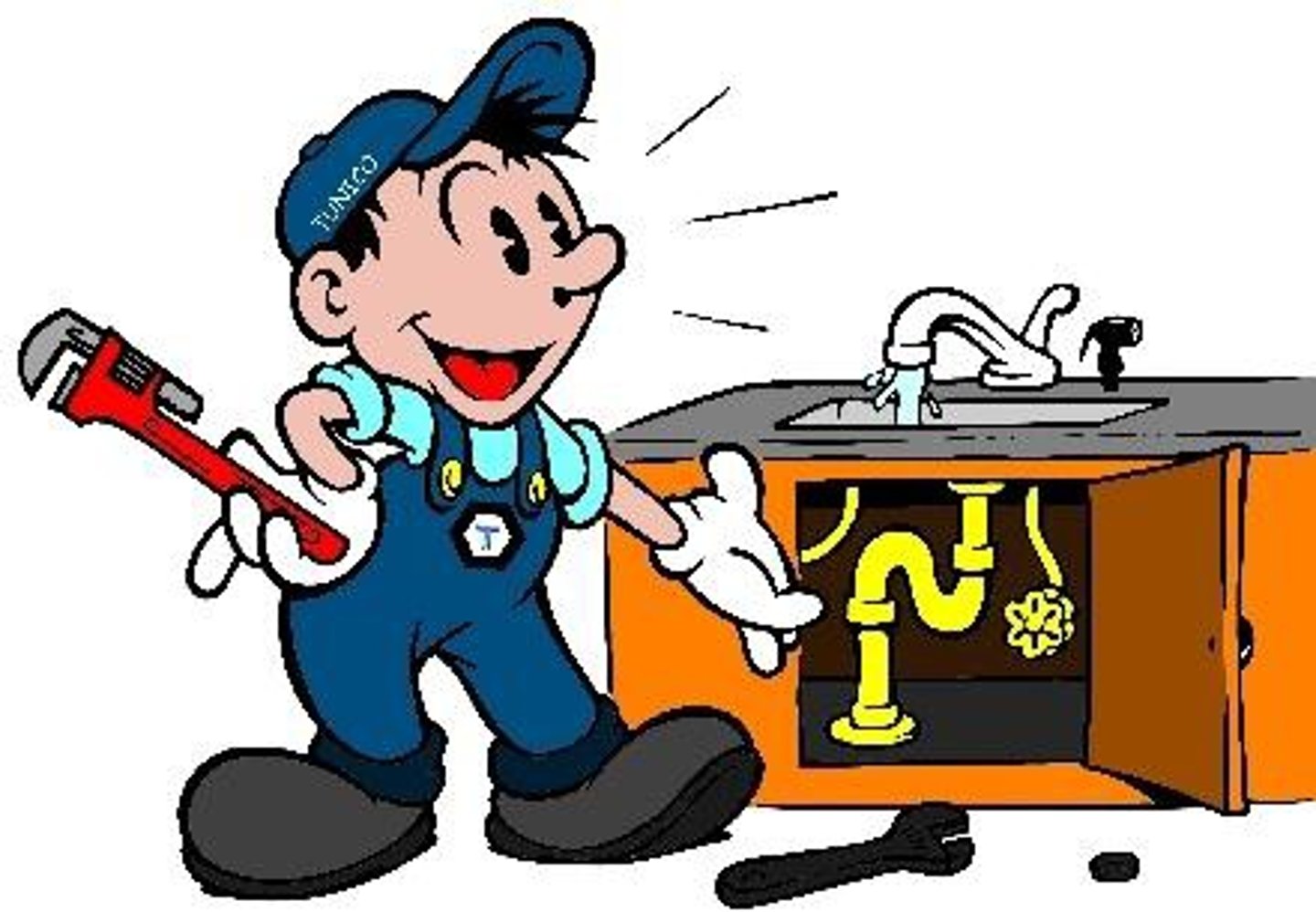 <p>a plumber</p>