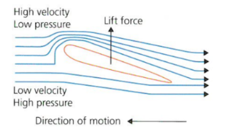 <ul><li><p>air flows a shorter distance </p></li><li><p><strong>lower velocity </strong></p></li><li><p><strong>high pressure zone is created </strong></p></li></ul>