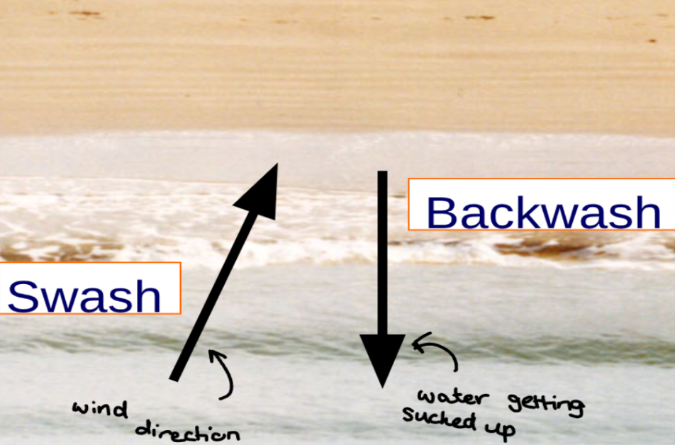 <p>swash = the rush of seawater up the beach after the breaking of a wave</p><p>backwash = backward flow of water after the breaking of a wave</p>