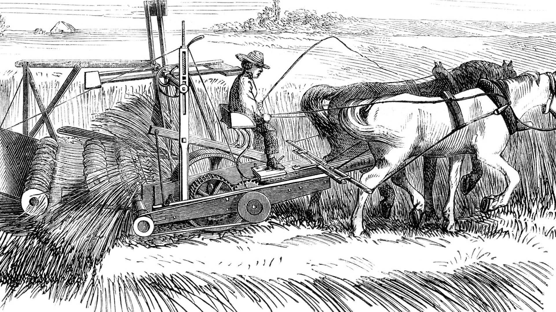 <ul><li><p>cuts &amp; bundles crops</p></li><li><p>farmers stopped cutting crops by hand</p></li></ul><p></p>