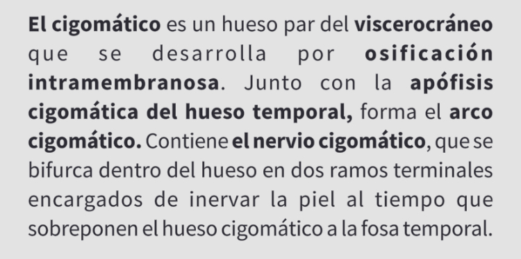 <p>Hueso Cigomático</p>