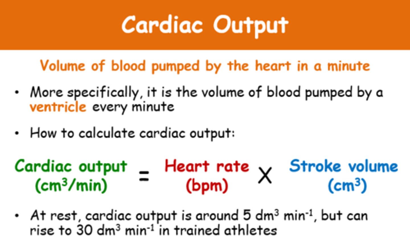 <p>cardiac output = stroke volume x heart rate</p>