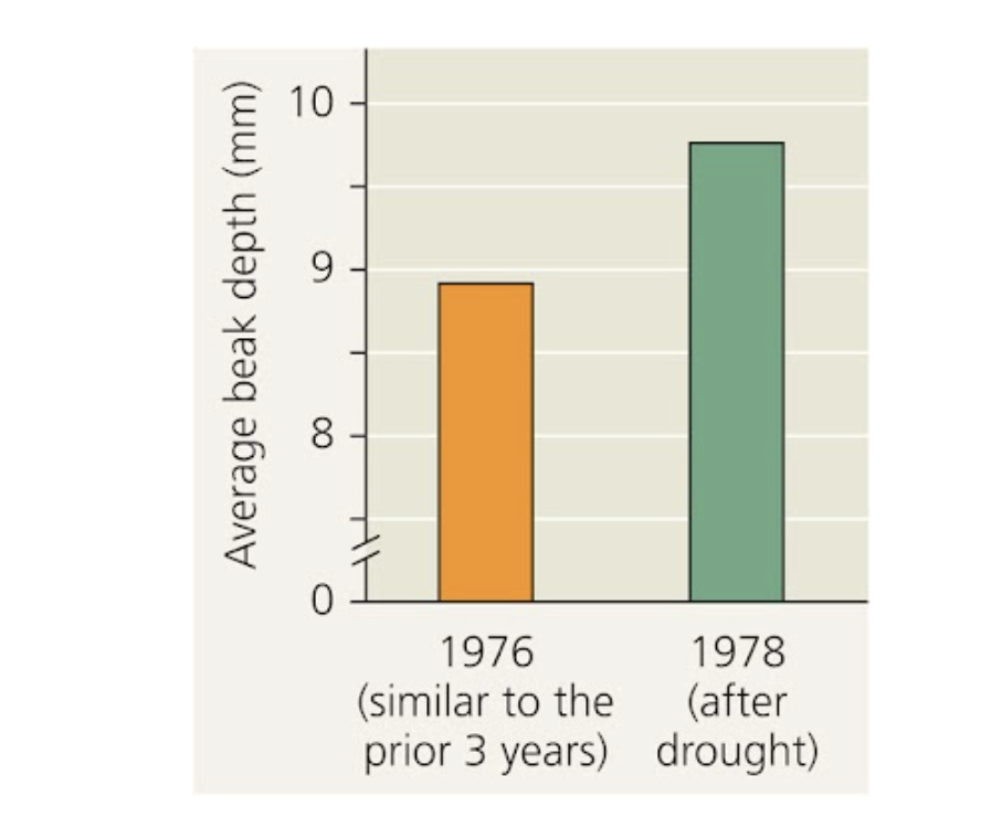 <p><span>The medium ground finch (Geospiza fortis) is a Galapagos island bird species that in 1977 experience a drought so severe that the population fell from approximately 1200 members to 180. PREDICT what happened based upon the data shown below. Check all that apply.</span></p>