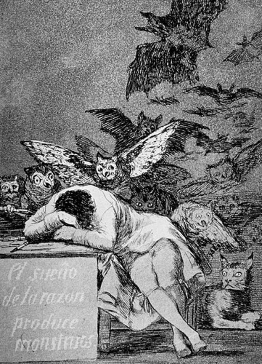 <p>los aguafuertes y son satíricos<br>82 aguafuertes con macabres y brujas<br><br>the etchings and they are satirical with 82 ghoulish/spooky/creepy etchings with witches. (The drawings look like monsters)</p>