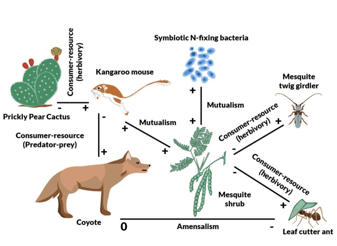 EX: coevolution