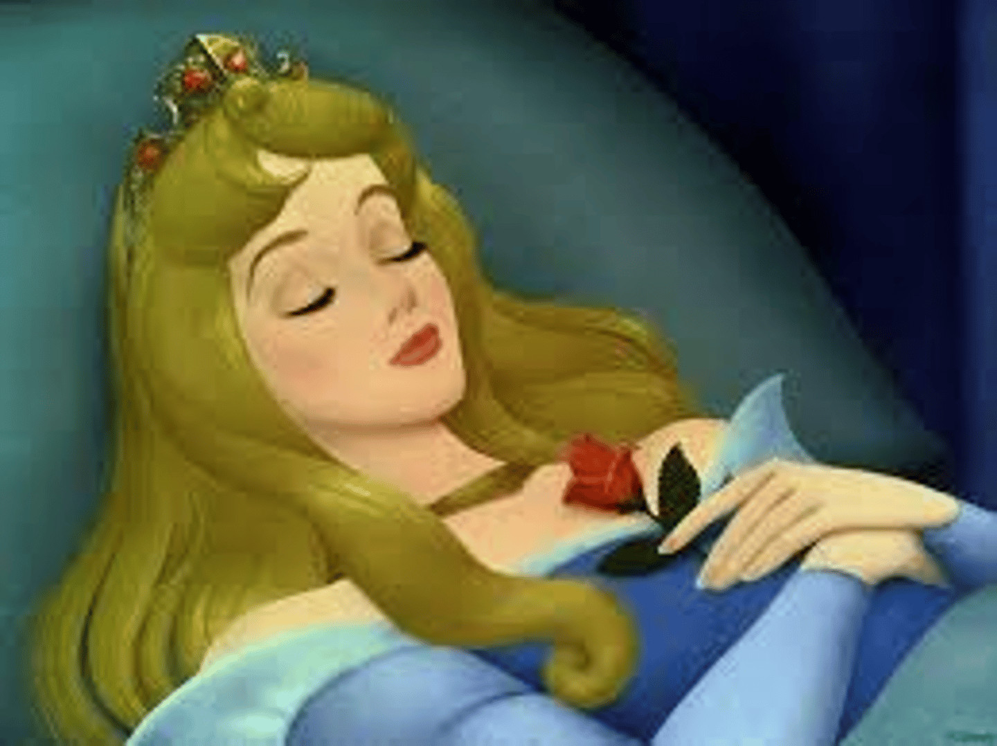 <p>to sleep</p>