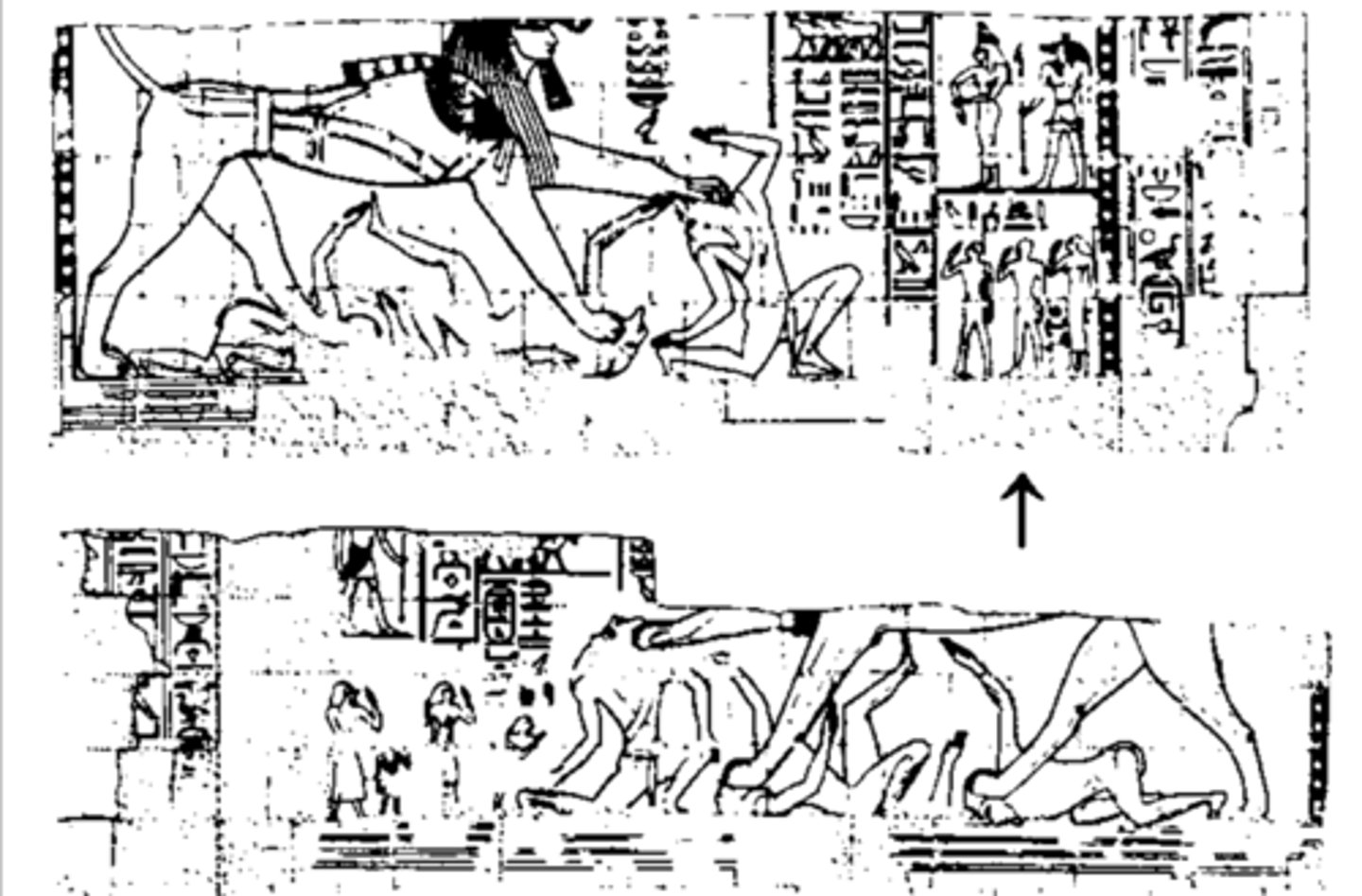 <p>- Libyan family with head of family being trampled by the sphinx and other family members covering themselves, cowering in fear, attempting to protect themselves</p><p>- Display of royal power against the Libyans</p><p>- Not historical, same Libyan family being named in each example of these family scenes</p><p>- Reintroduced when the Nubians take over Egypt and defeat the Libyans</p><p>- Originally Egyptian and Taharqan (Nubian) finds it and adopts it</p>