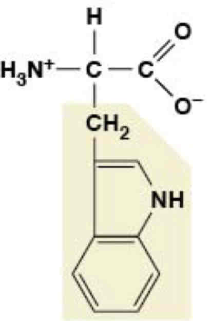 <p>Nonpolar (Hydrophobic)</p>