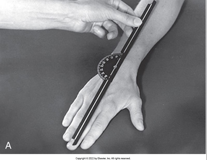 <p><span>The following image shows a goniometer positioned to measure wrist _________________.</span></p>