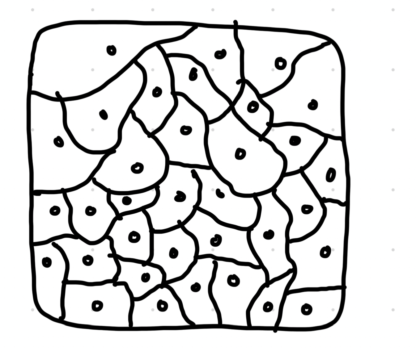 <ul><li><p>Connective tissue found in outer ear, nose and end of bones</p></li><li><p>Contains collagen and elastin</p></li><li><p>Firm, flexible connective tissue</p></li><li><p>Chondocyte cells embedded in an extracellular matrix</p></li><li><p>Prevents bones rubbing together</p></li><li><p>Some fish have whole skeletons made of cartilage</p></li></ul>