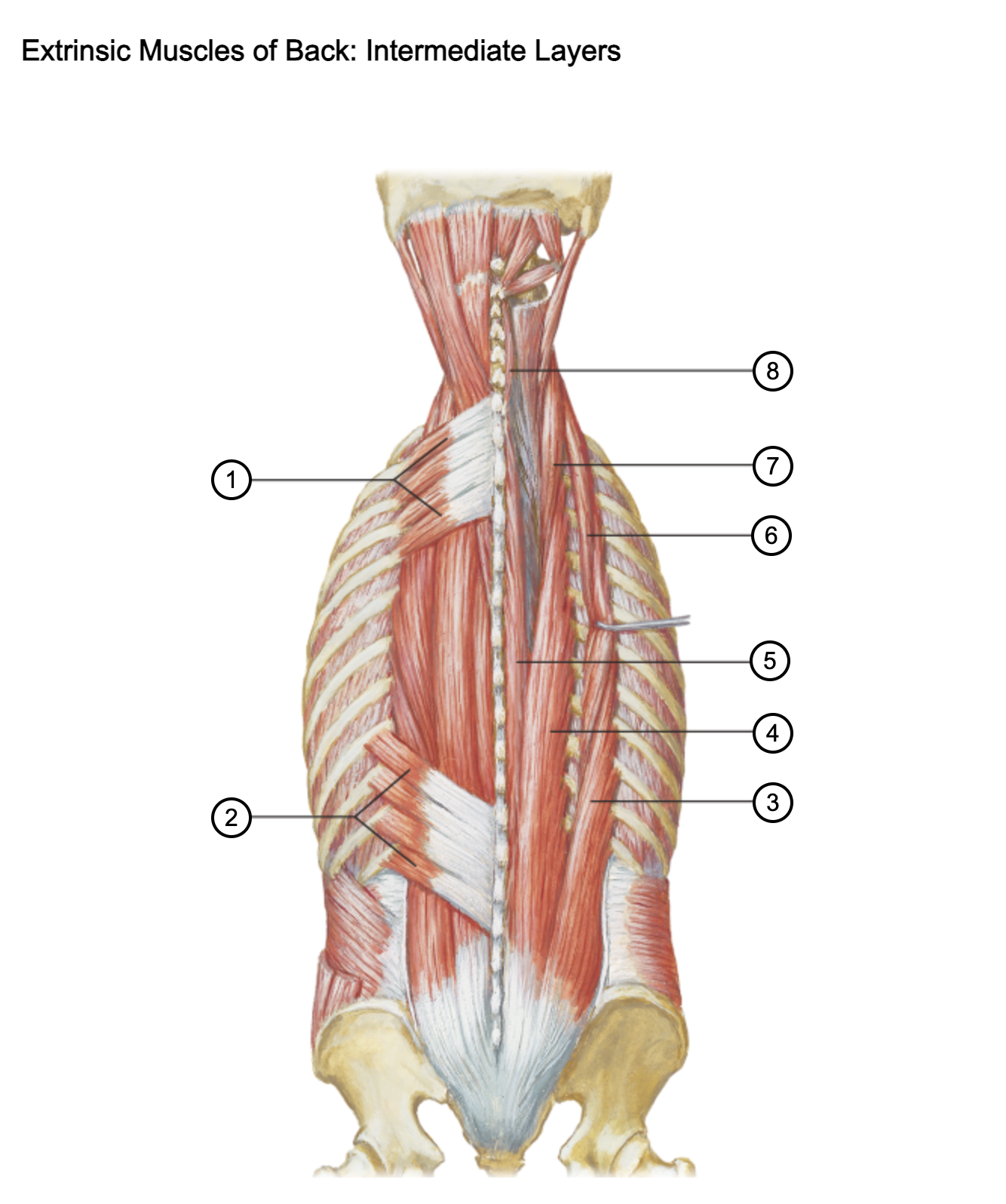 <p>4</p>