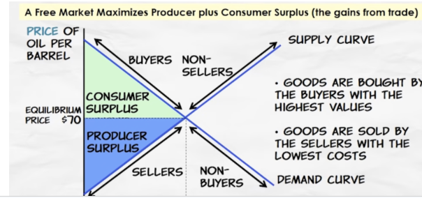 <p>consumer surplus </p>
