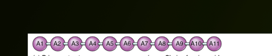 <p>What is this?</p>