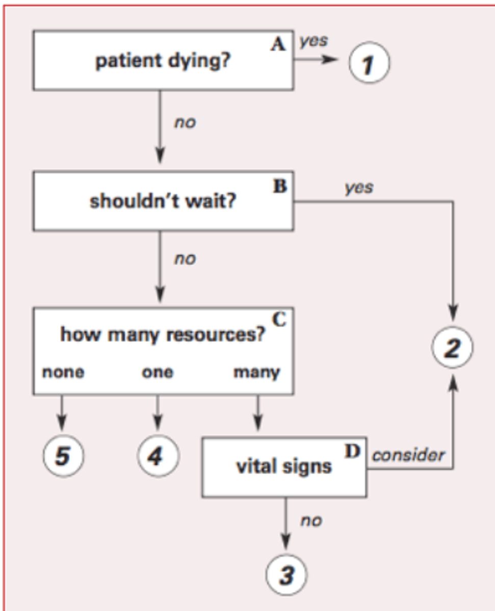 <p>- Categorizes patients so the most critical are treated first</p><p>- Emergency Severity Index: see picture</p>