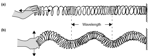 <p>We can measure how many cycles occur per second (equals to number of vibrations per second of vocal cords) – that’s the frequency of a sound. We measure it in Hertz (Hz).</p>