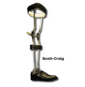 <p><span data-name="black_small_square" data-type="emoji">▪</span> Double metal uprights</p><p><span data-name="black_small_square" data-type="emoji">▪</span> Offset knee joints</p><p><span data-name="black_small_square" data-type="emoji">▪</span> Pretibial band</p><p><span data-name="black_small_square" data-type="emoji">▪</span> Rocker bottom shoe</p><p><span data-name="black_small_square" data-type="emoji">▪</span> Bail locks</p><p><span data-name="black_small_square" data-type="emoji">▪</span> Shoe attached</p><p></p>