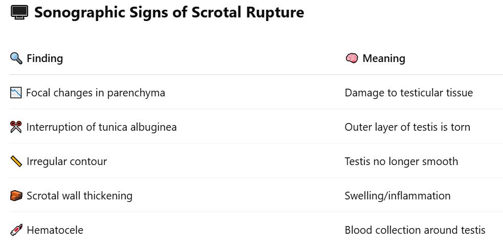 <p><u><span data-name="rotating_light" data-type="emoji">🚨</span></u><strong><u> </u></strong><u>– Scrotal Trauma </u></p><p><u> Common Causes of Scrotal Trauma </u></p><ul><li><p class=""><span data-name="car" data-type="emoji">🚗</span> Car accidents</p></li><li><p class=""><span data-name="person_running" data-type="emoji">🏃</span> Sports injuries</p></li><li><p class=""><span data-name="martial_arts_uniform" data-type="emoji">🥋</span> Direct blows</p></li><li><p class=""><span data-name="bicyclist" data-type="emoji">🚴</span> Straddle injuries</p></li></ul><p class=""></p><p class=""><u><span data-name="test_tube" data-type="emoji">🧪</span> </u><strong><u>Main Goal of Ultrasound</u></strong><u> :</u></p><p class=""><span data-name="mag_right" data-type="emoji">🔎</span> Determine <strong>if testicular rupture has occurred</strong> — it’s a <strong>surgical emergency</strong>!</p><p> </p><ul><li><p class=""><span data-name="check_mark_button" data-type="emoji">✅</span> <strong>If treated within 72 hrs</strong> → <strong>90%</strong> testis salvage</p></li><li><p class=""><span data-name="cross_mark" data-type="emoji">❌</span> <strong>After 72 hrs</strong> → Only <strong>45%</strong> salvage</p></li></ul><p></p>