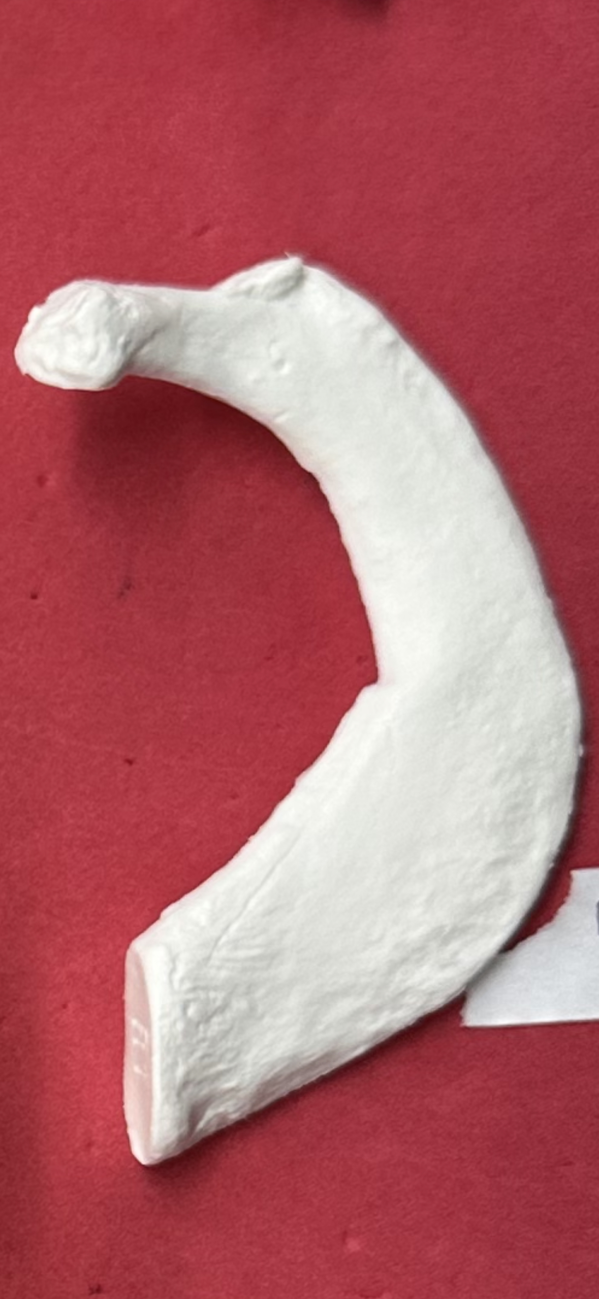 <p>ID bone</p>
