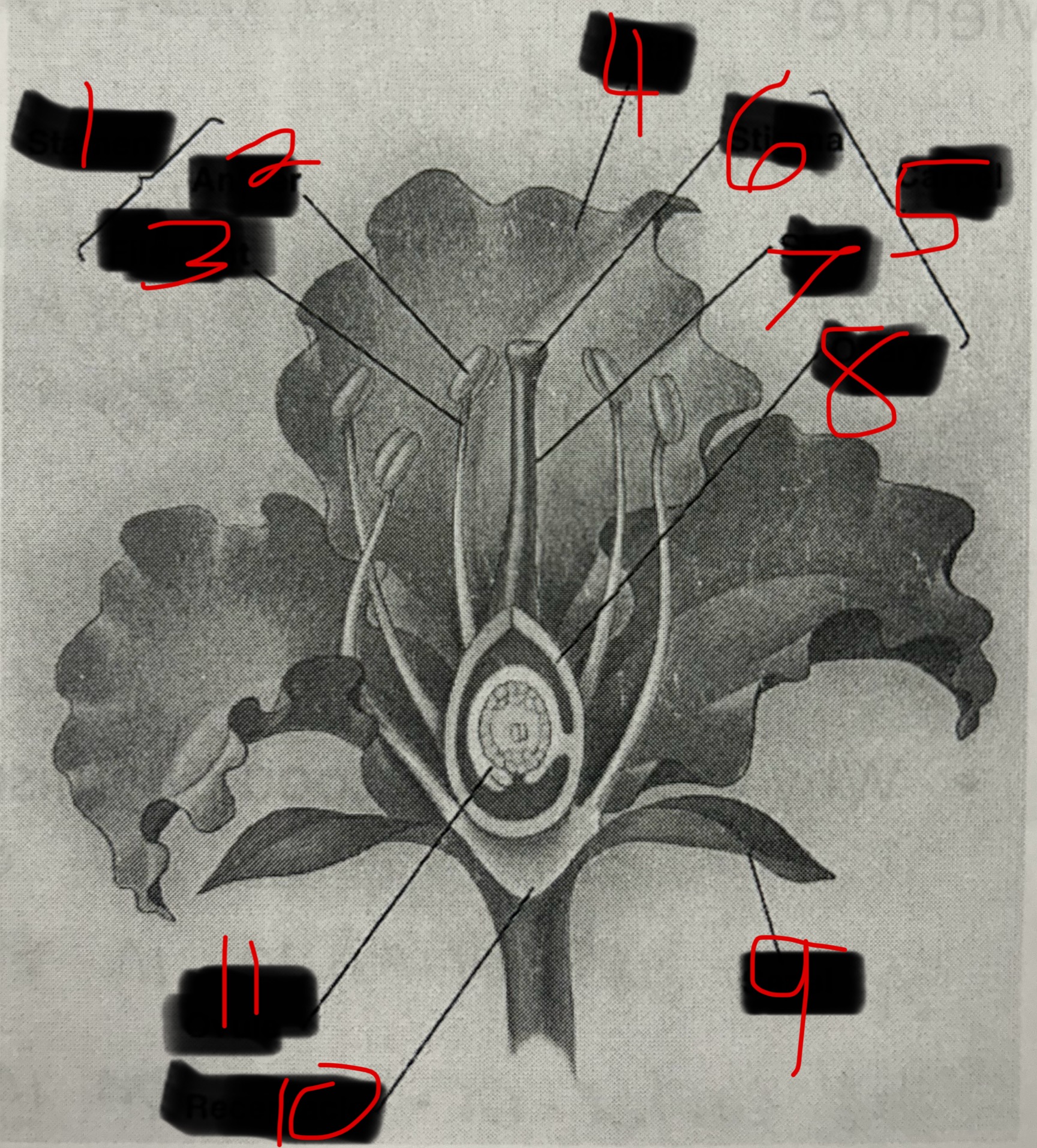 <p>What is 7?</p>