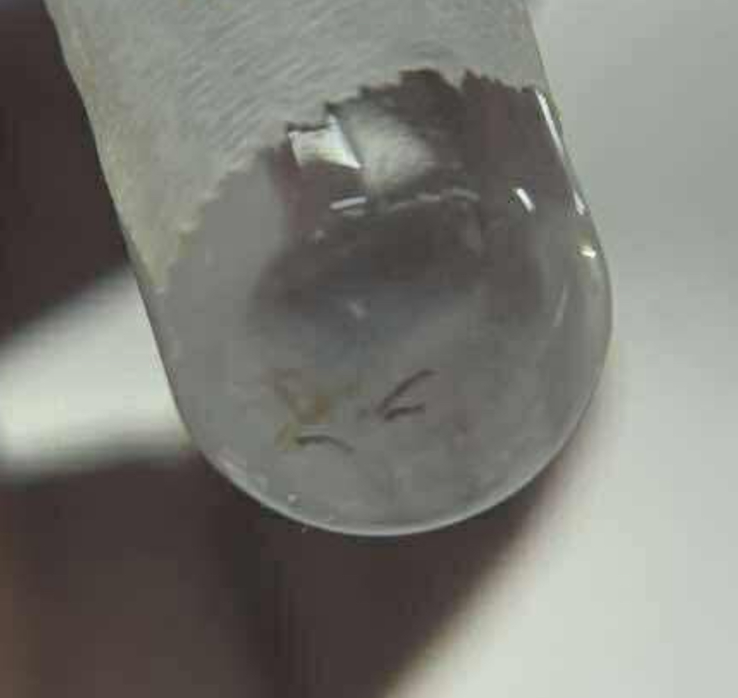 <p>A. stage/form</p><p>B. distinguishing characteristics</p>