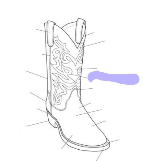 <p>What part of the boot is this? (labeled in purple)</p>