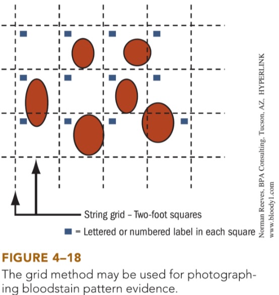 <p>grid the entire pattern using strings and stakes, overall, medium-, and close-range photos taken with and without grid</p>