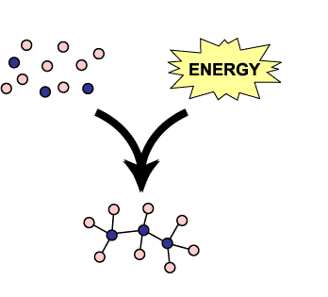 <p>refers to the assembling of molecules, the reaction is endergonic meaning that it absorbs energy.</p>