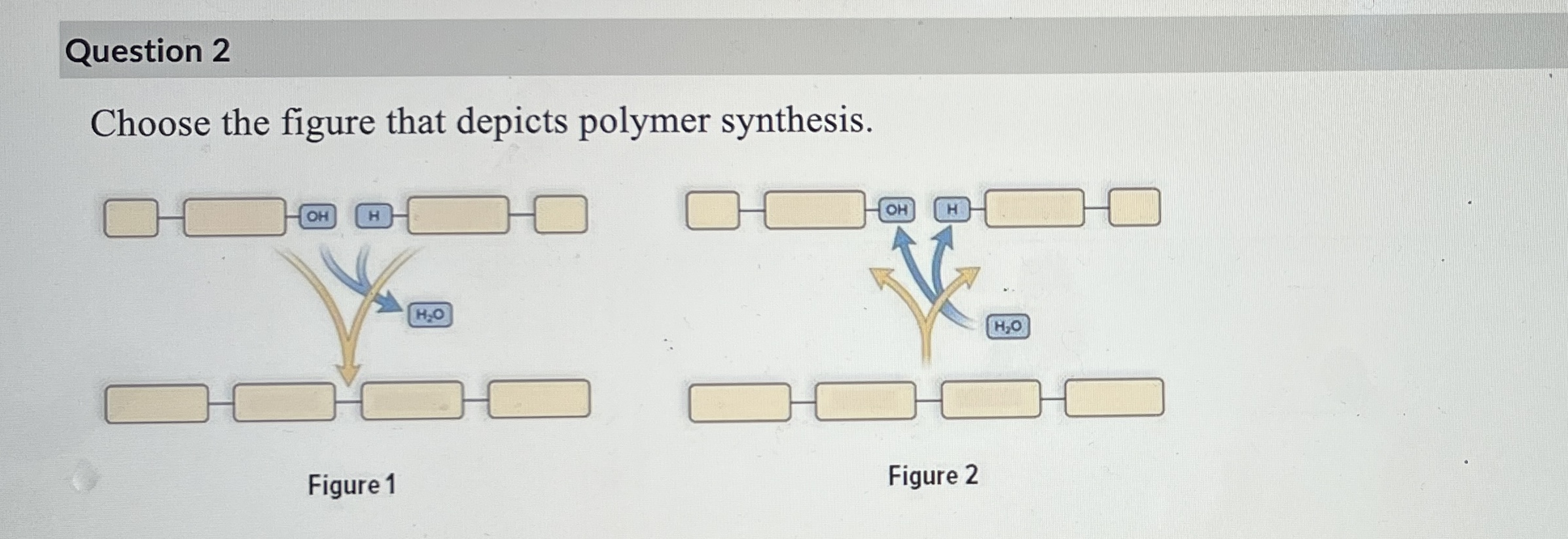 Choose the figure that depicts polymer synthesis 