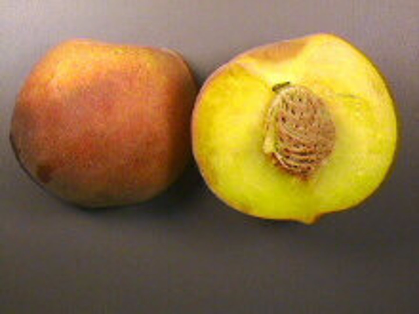 <p>fleshy mesocarp, stony endocarp covering the seed (Peach, Cherry, Olive, Plum</p>