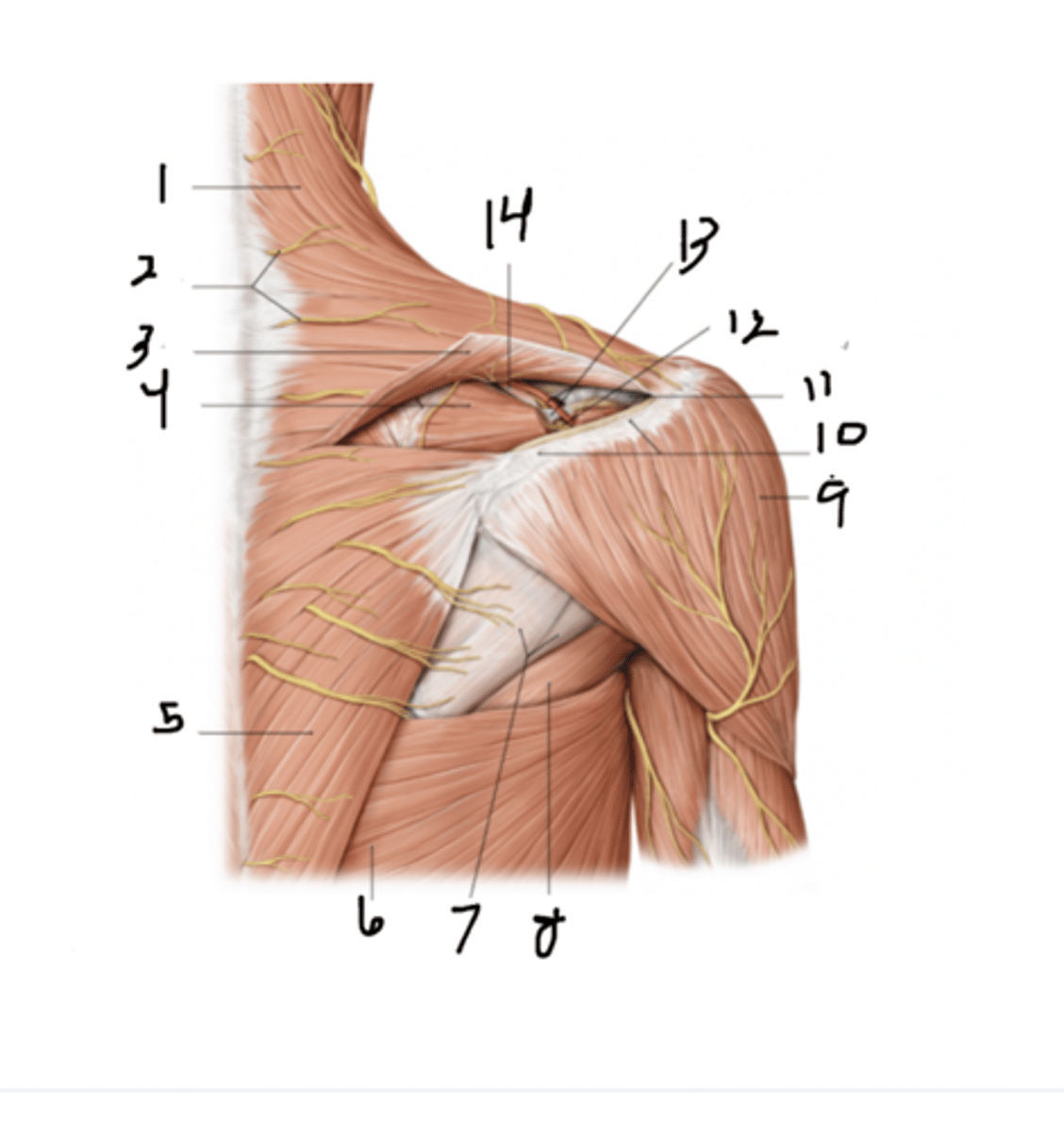 <p>1</p>