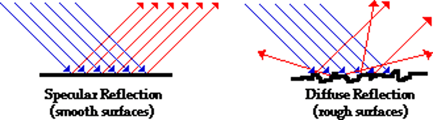 <p>In Specular Reflection, the light rays are reflected in a single direction as they are being reflected off of a smooth surface. This results in a clear image being reflected as is the case with the image of a bird being reflected in a lake.</p><p>In Diffuse Reflection, the light rays are reflected in all sorts of directions as they are being reflected off of a rough surface. This results in no clear image being reflected as is the case all around you with light reflecting off of your desk, the walls, your furniture, etc. You don't see reflections of other objects coming off of these. You simply see more light.</p>