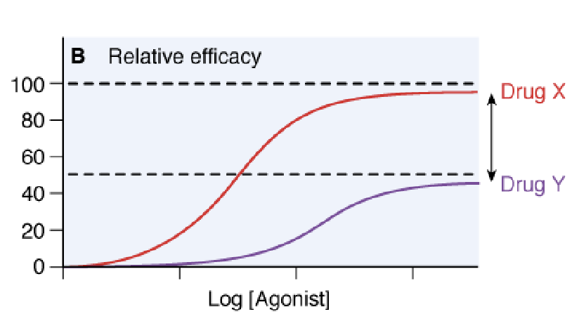 <p>relative efficacy</p>