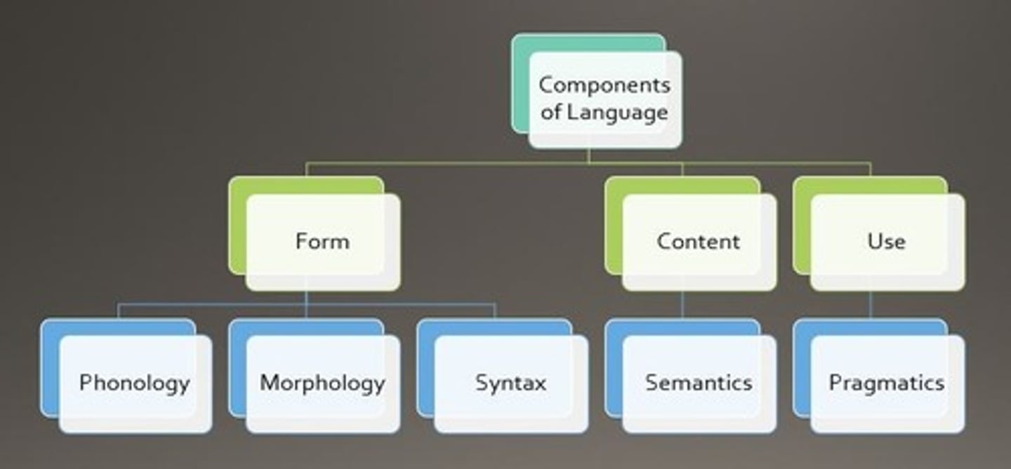 <p>Semantics is the study of meaning in language, including the meanings of words and sentences.</p>
