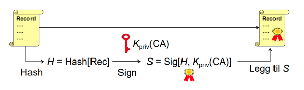 <ol><li><p>samle alle datafeltene, inkludert subjektets (domene) navn og offentlige nøkkel, i en datarecord Rec</p></li><li><p>Hash datarecorden</p></li><li><p>signer hash-verdien</p></li><li><p>legg den digitale signaturen til i datarecorden</p></li></ol><p></p>