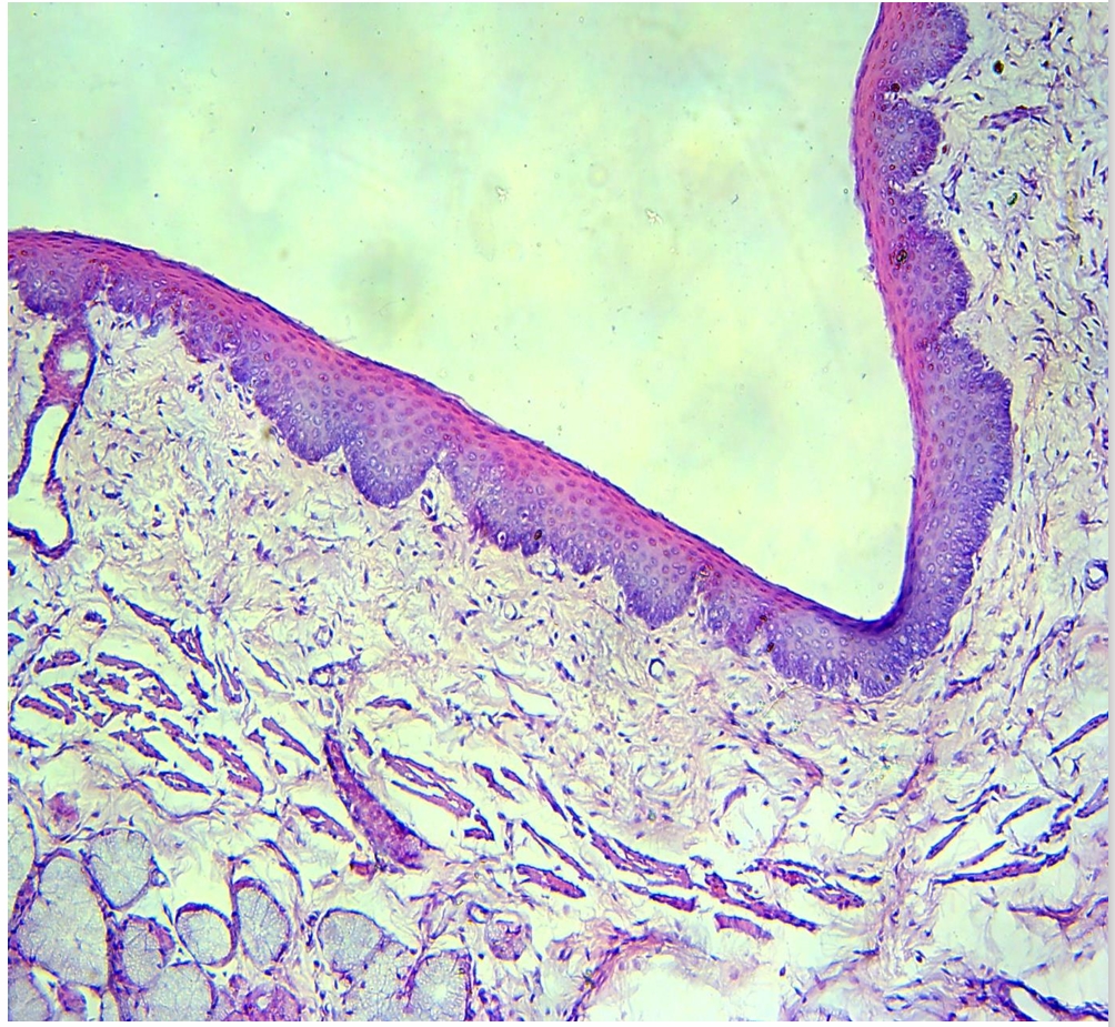 <p>identify </p><p>mention one site </p>