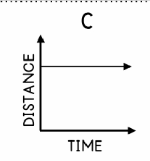 <p>Describe this graph</p>