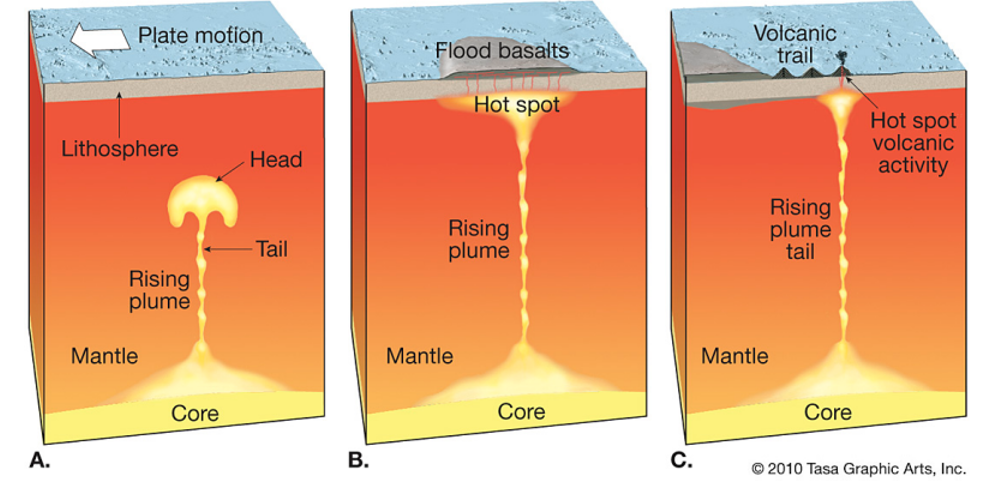 <p><span>About 95% of the world’s volcanoes are located near the boundaries of tectonic plates.</span></p><p><span>The other 5% are thought to be associated with mantle plumes and hot spots.&nbsp;</span></p>