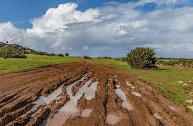 <p>It’s muddy</p>