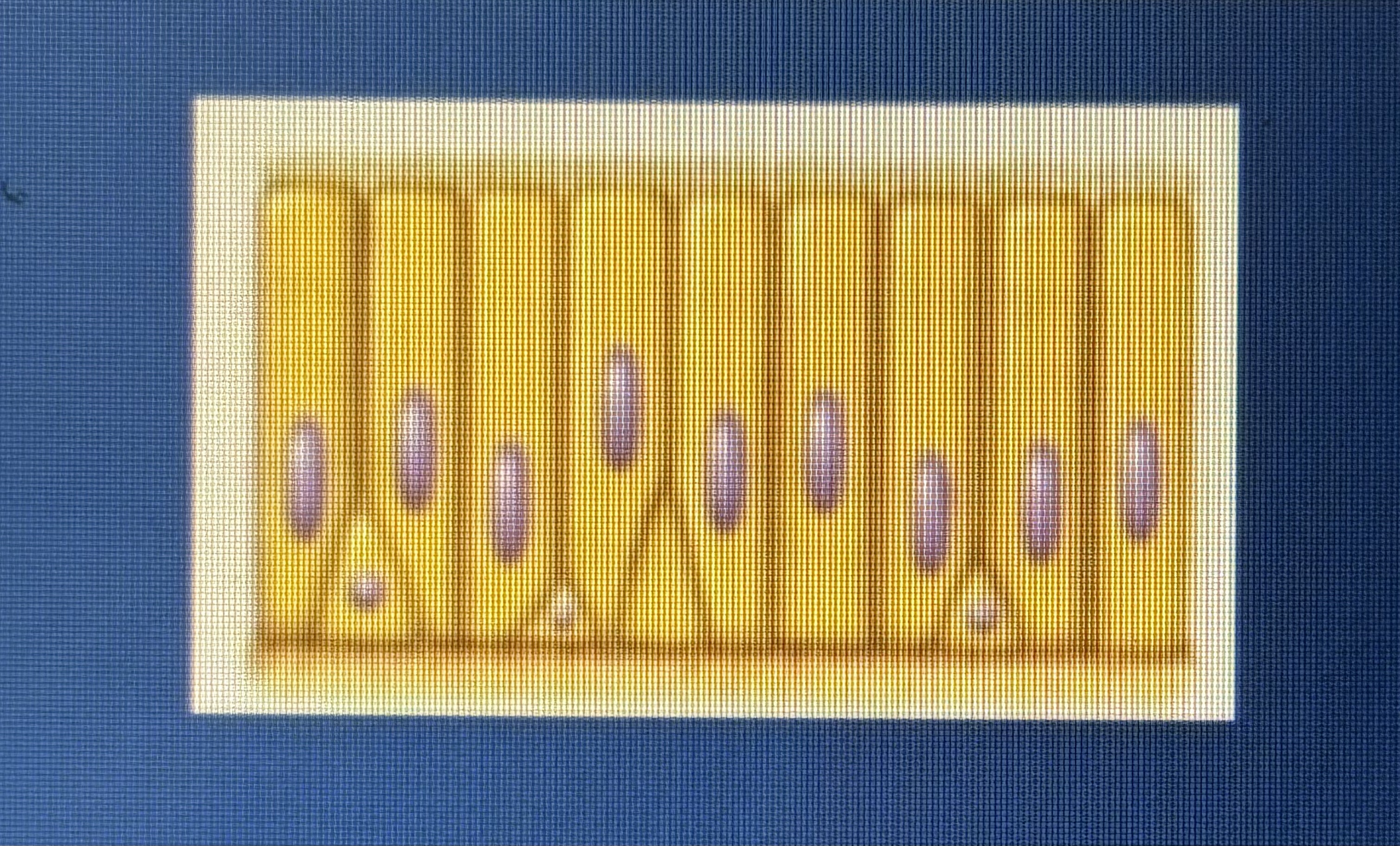 <p>what type of layer is this?</p>