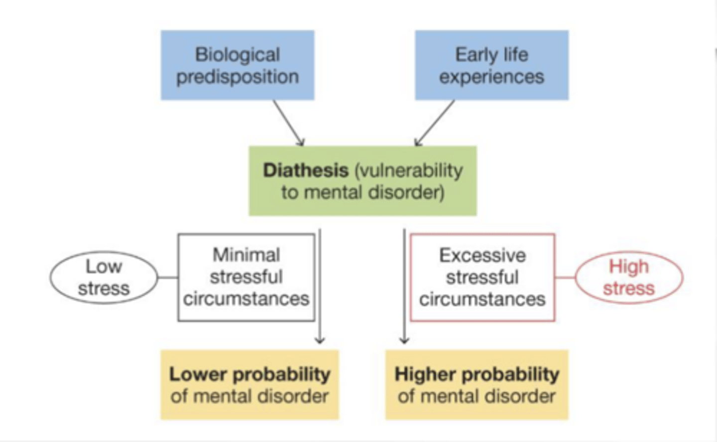 <p>- Combines biology &amp; environment to explain causal processes</p><p>- Biological predispositions interact with early experience to create vulnerabilities (aka “Diathesis”) to psychopathology</p><p>- When in contact with stress→ increased odds of psychopathology</p><p>- Diathesis can include: Genotype; Neurochemistry;</p><p>Physiology/temperament; Cognitive styles; Personality dimensions; Emotion/emotion-regulation style; Harmful relations; Harmful contexts; Etc.</p>