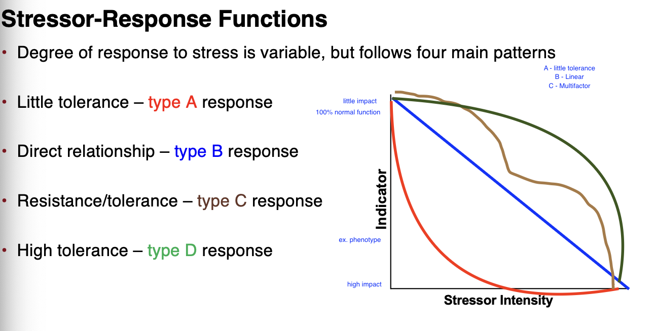 <ul><li><p>little tolerance - type A response&nbsp;</p></li><li><p>direct relationship - type B response&nbsp;</p></li><li><p>resistance/tolerance - type C response&nbsp;</p><ul><li><p>high tolerance - type D response&nbsp;</p></li></ul></li></ul><p></p>