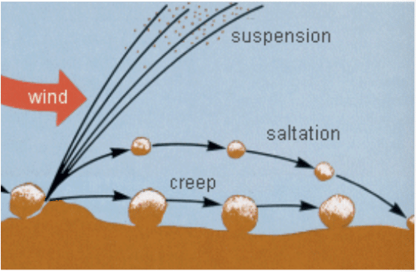 <p>this agent can create sorted sediments. Sediments undergo abrasion.</p>